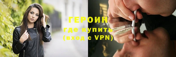 прущие грибы Медвежьегорск
