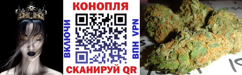 Конопля план  как найти наркотики  Устюжна 